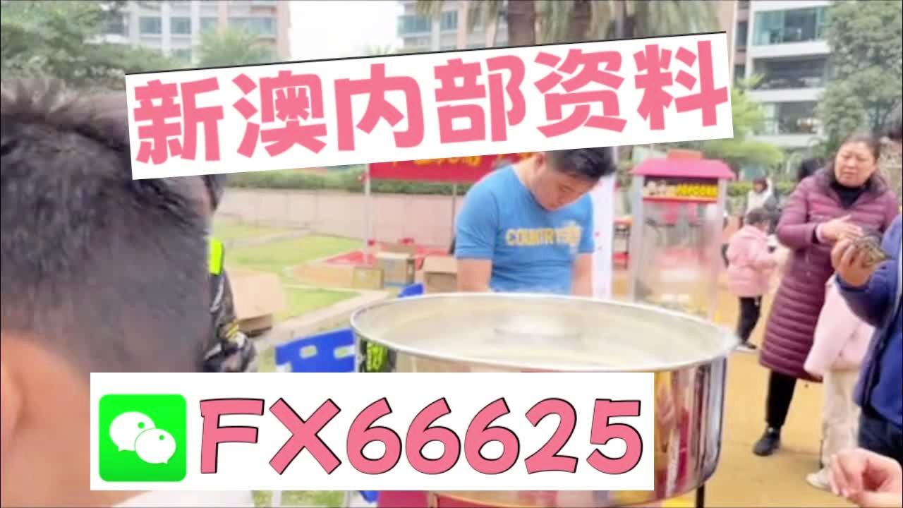 新奥2025最新资料大全，准确资料、全面数据与落实行动的解释