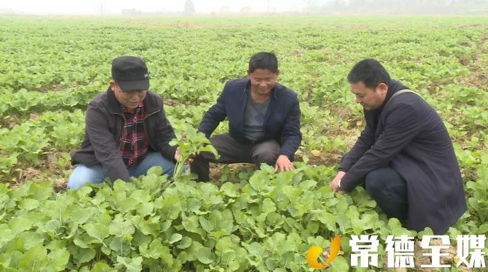 揭秘最准一码一肖，专业版实用释义、解释与落实——科学视角下的探索