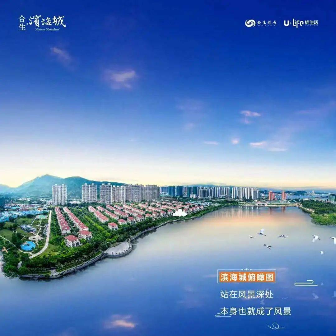 新澳2025最新资料大全第044期详细解析及深度探讨（39-12-8-1-3-24T:36）