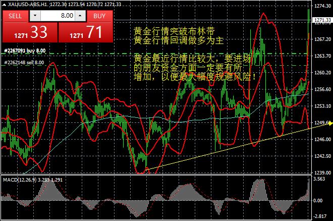全民喜欢，解析2025新奥最新资料大全，落实策略与行动路径