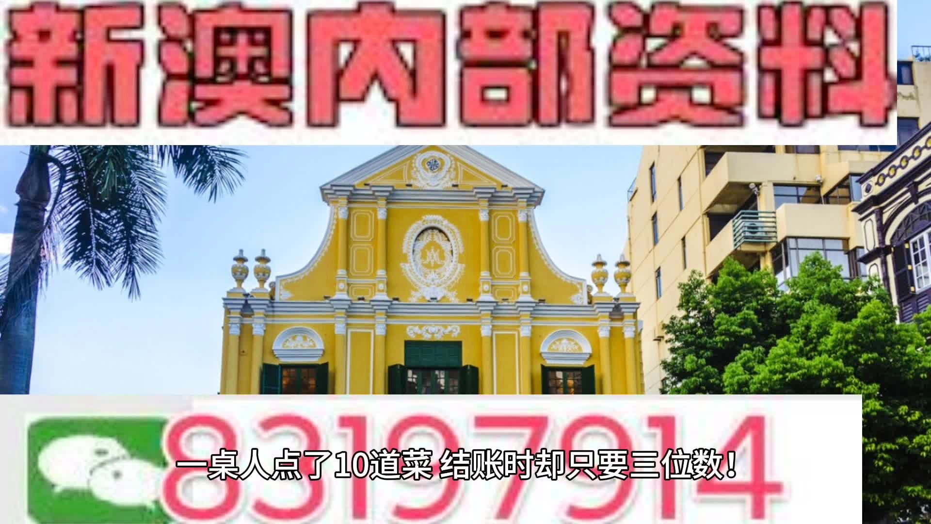 探索新澳门，全面免费政策的释义、解释与落实展望