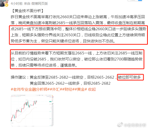 咨询 第11页
