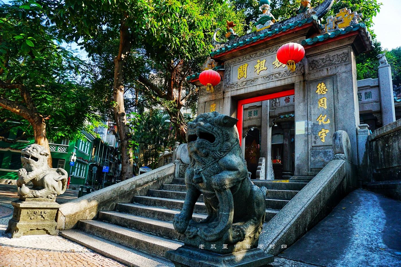 探索未来的澳门，全面免费政策释义与落实之路