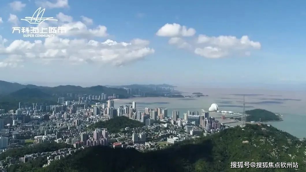 新澳2025最新资料大全第044期详细解析与探索，从39到未来展望