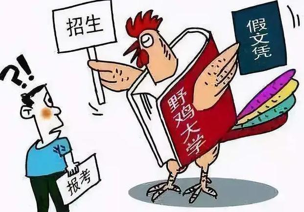 警惕虚假宣传，认清正版价值 —— 探索2025天天彩真实资料与程序执行提升之路