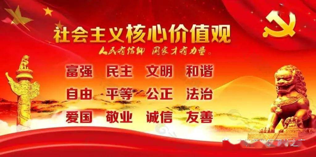 全民喜欢，解析新奥最新资料大全，落实策略与行动